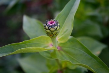 barwy natury © Anna