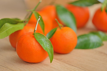Mandarins.
