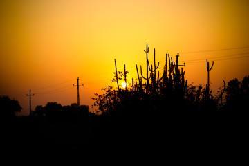 sunset over field