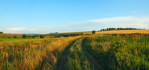 Summertime.Beautiful sunny summer landscape with green hills,golden wheat fields,woods and ground country road passing between the hills.Panoramic view.