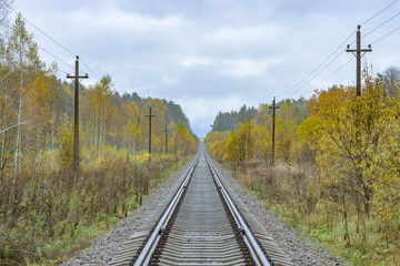 Fototapeta na wymiar Railway in the autumn forest