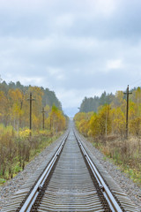 Obraz premium Railway in the autumn forest