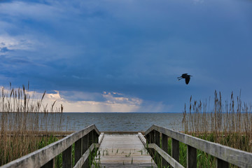 This pier in Corolla in the Outer Banks, North Carolina offers  a spectacular view of the sound in Heritage Park in Currituck.