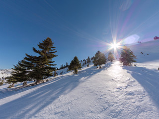 Slope in Kalavrita ski center