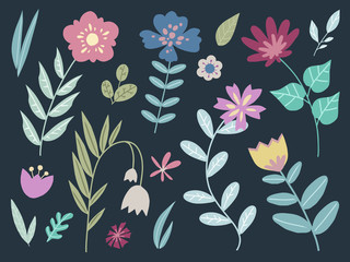 Collection of different colorful fantasy flowers and leaves graphic vector illustration