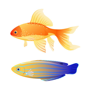 Blue Striped Tamarine and Goldfish Cartoon Poster