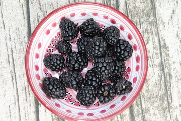Mûres dans un bol