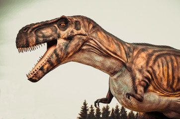 Close up shot  a Tyrannosaurus Rex