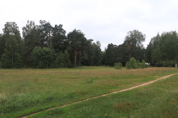 Лесная тропа.