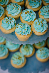 Wedding cupcake closeup