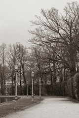 Ducale park with old big trees in Parma Italy. (Tone effect)