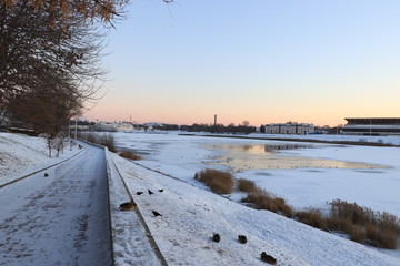 Птицы зимуют