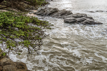 Trees along the customs road along the Côte de Jade de Pornic in French Brittany