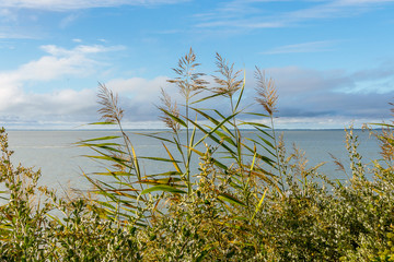 Atlantic coast, in the French brittany