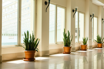 Illuminated long corridor in modern office building with panoramic windows