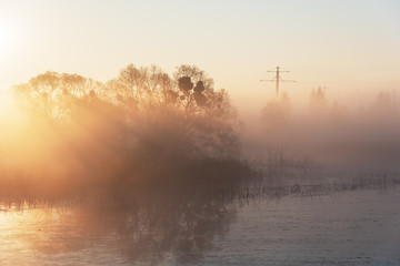 Golden misty morning in the autumn lake with a soft, lovely light