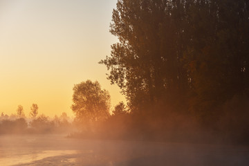Obraz na płótnie Canvas Golden misty morning in the autumn lake with a soft, lovely light