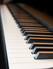 Naklejka premium piano