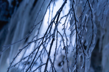 Icicles in the northen twilight