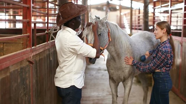 Positive Caucasian girl and afro man using electric trimmer for shearing gray horse in stable
