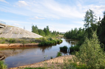 Yellow river slow flowing across the green forest. Summer