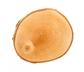 Cross section of tree trunk with annual growth rings isolated on white background