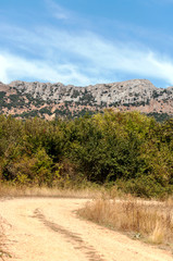 Cultivated fields of cereal in the north of Spain on a sunny day.