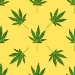 Hemp or cannabis leaves seamless pattern.