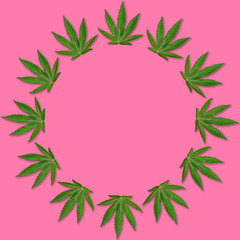 Hemp or cannabis Leaf Picture frame