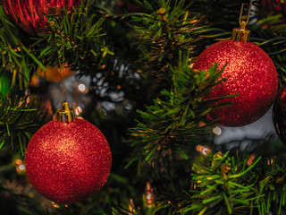 Festive Ornaments on Tree