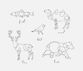 Animal pen line fish