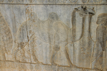 Persepolis outside Shiraz in Iran