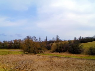 Fototapeta premium landscape with trees
