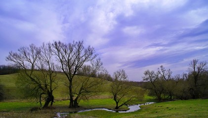Fototapeta na wymiar Spring landscape with river and trees
