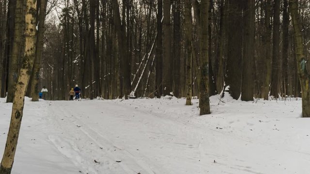 Skiers in the Park on a winter day off ,time lapse