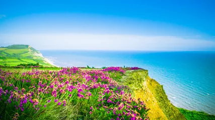 Fototapeten Englische Sommerferien Landschaft im Hintergrund mit dem blauen Meer / Ärmelkanal mit selektivem Fokus aufgenommen. Golden Cap an der Jurassic Coast in Dorset, Großbritannien. © Vivvi Smak