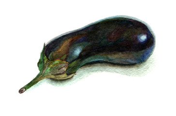 Eggplant in Watercolor