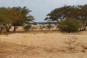 A beach in Cape Verde