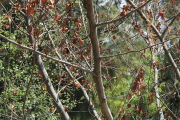 Inicio de otoño 