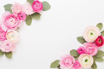 Fototapeta na wymiar Beautiful colored ranunculus flowers on a white background. Spring greeting card.