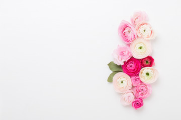 Beautiful colored ranunculus flowers on a white background. Spring greeting card.