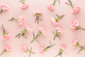 Fototapeta na wymiar Pink carnation flowers on pastel background. Flat lay, top view, copy space.