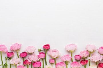 Beautiful colored ranunculus flowers on a white background.