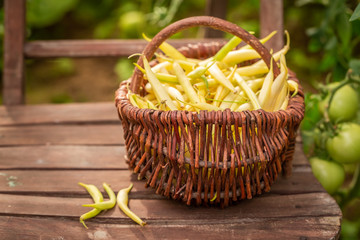 Fototapeta na wymiar Tasty yellow beans in an old wire basket