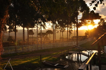 sunset in park