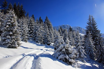 Fototapeta na wymiar Country road in the mountains during wintertime