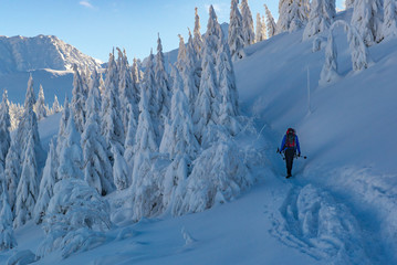 Hala Gasienicowa - Tatry, zima 01.2019