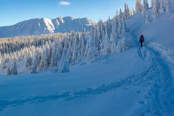 Hala Gasienicowa - Tatry, zima 01.2019 © grzegorz_pakula
