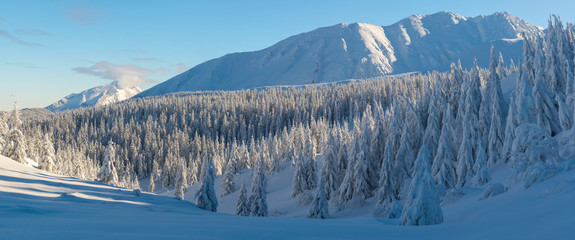 Hala Gasienicowa - Tatry, zima 01.2019