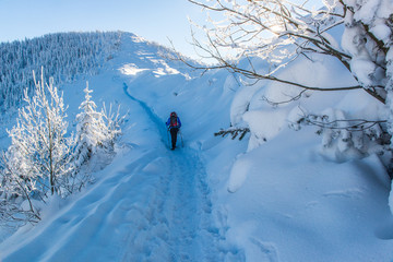 Góry, zima - Tatry 2019 rok © grzegorz_pakula